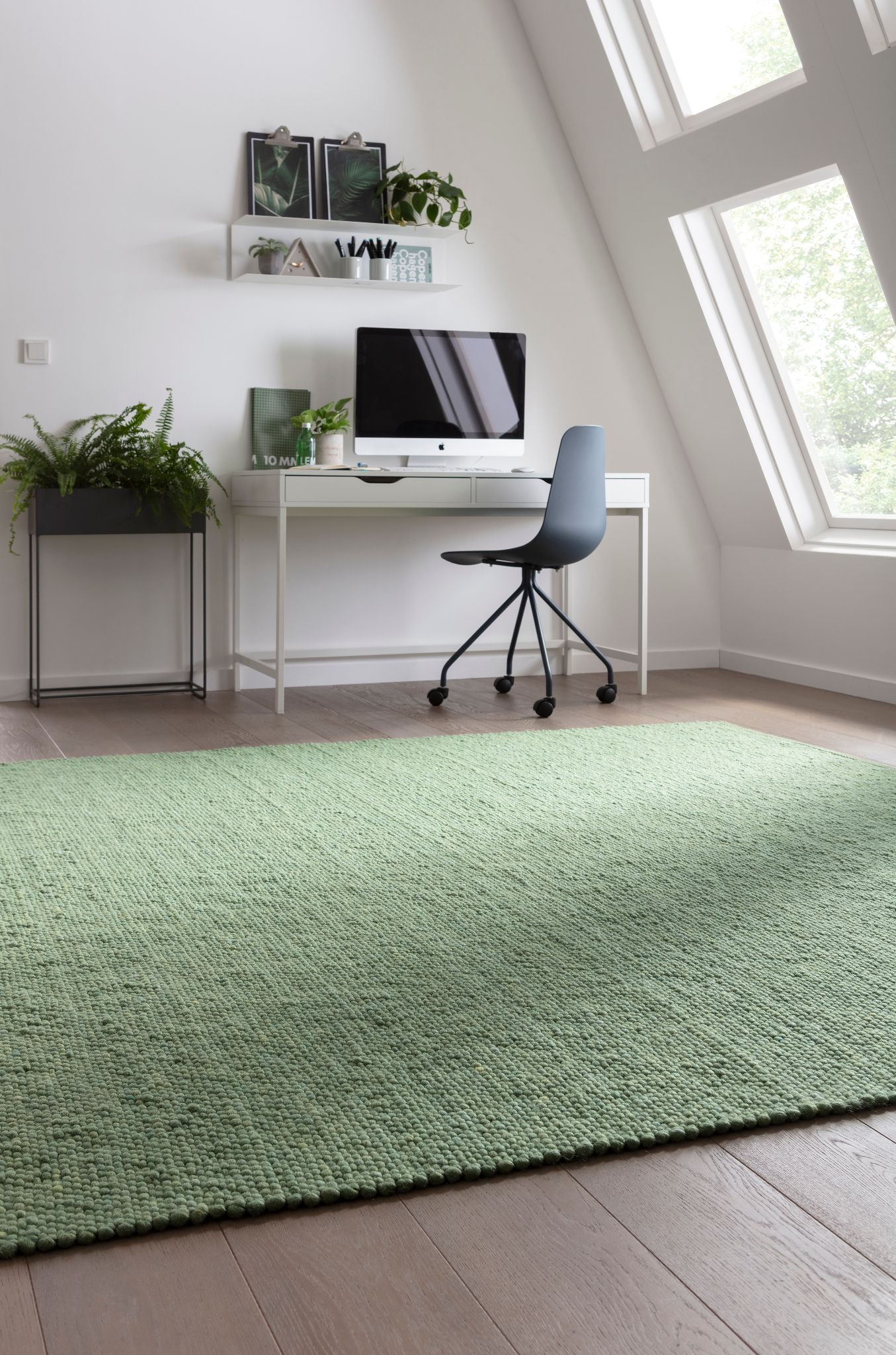 Orlando Florida 4405 Pinie 001 Tisca 005.1 HA